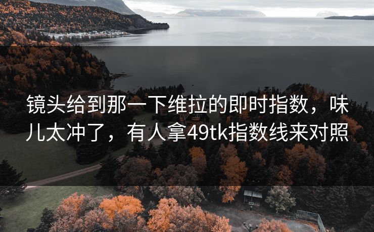 镜头给到那一下维拉的即时指数，味儿太冲了，有人拿49tk指数线来对照